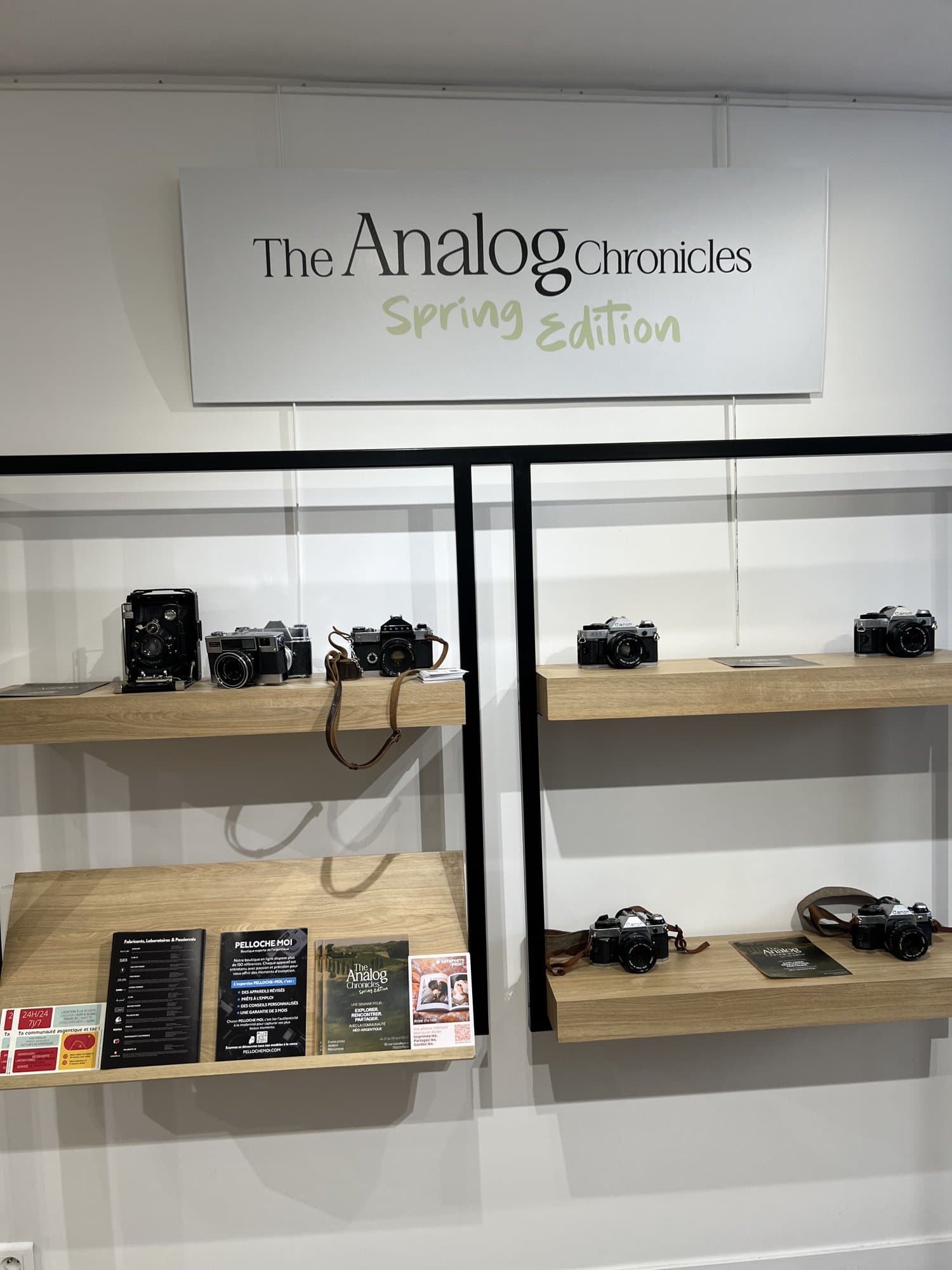 The Analog Chronicles — Spring Edition 2026