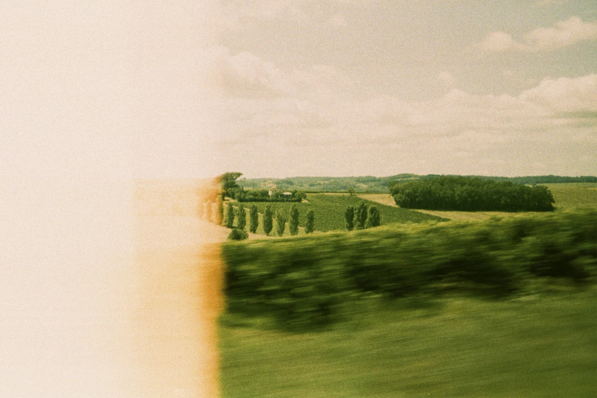 Photographie argentique